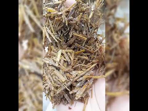 Long Method Mushroom 🍄 Compost 2nd Turning @Mritunjay Rai