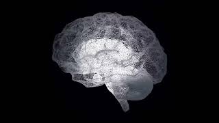 THE FREQUENCY OF TRUTH