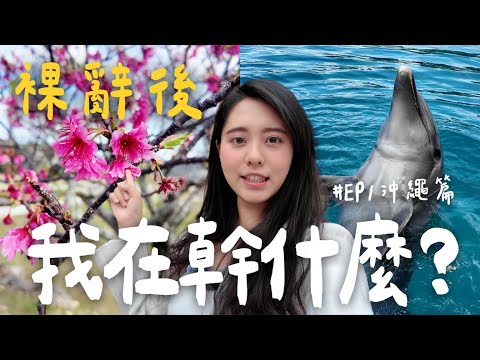 跟我過裸辭後的工作天🔥沖繩自由行必看【親南其境-沖繩#1】| 南南 LAMLAM
