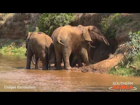Pafuri Fly-In Safari