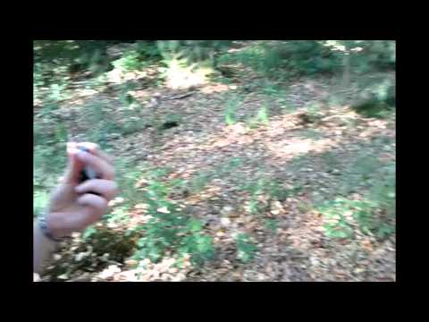 Marble Geocache