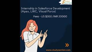 Explore Online Internship offered by StudySection!