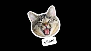 猫たちのドキュメンタリー 彼らの世界を覗いてみよう！