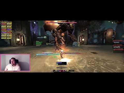 Asylum+2 6:32 - Advanced Raid Leading Guide