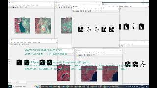 Unsupervised Change Detection in Satellite Images Using Principal Component Analysis and k-Means Clu