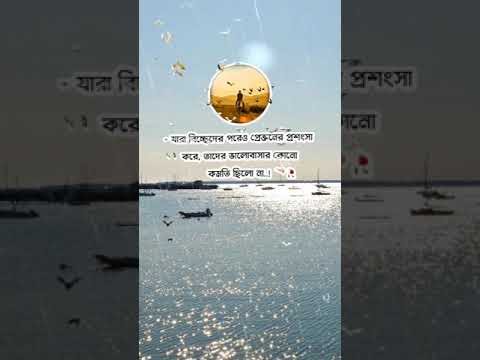 তুমি হয়তো ভালোবাসা ই বুঝতে না #কল্পনাবিলাসী #sad #kalponabilasy