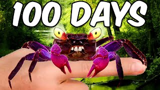 I Simulated an Island ecosystem for 100 days