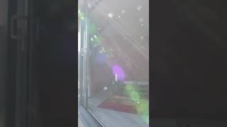 🏋️‍♂️ Transform Your Fitness Routine with a Garden Room Home Gym! 🌿💪