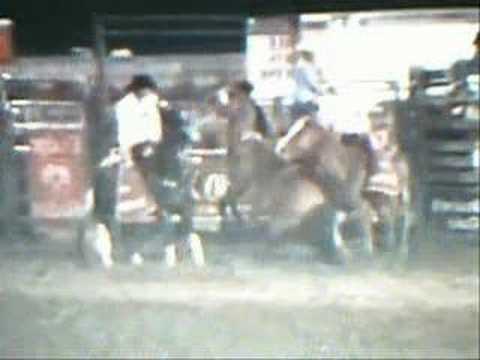 Horse Slaughter