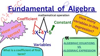 Basic algebra,what is algebraic expression and equation,terms variables,constant and coefficient
