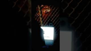 Hacker Getting Bored | Funny Hacker Moments#Shorts#EthicalHacker#HackingLife#TechShorts#hacherhumor
