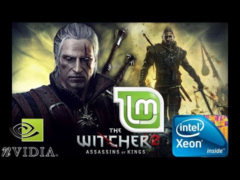 [Linux native] gameplay The Witcher 2: Assassins of Kings Enhanced Edition X5460 lga 775 GTX 750 1gb