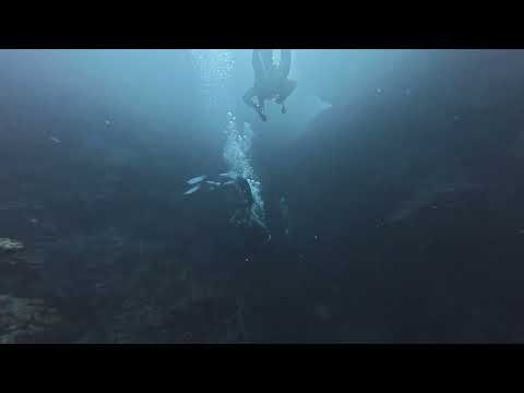 Scuba Mania 2025 - First Dive!