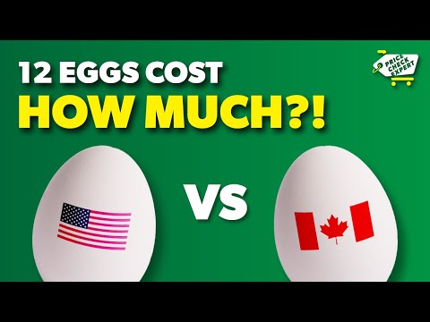 Egg Prices Compared: Canada vs. USA – Who’s Paying More?