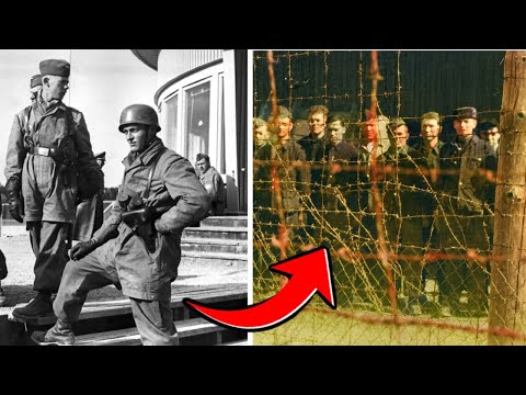 The 91,000 German Soldiers Who Never Returned – Stalingrad’s Forgotten Prisoners