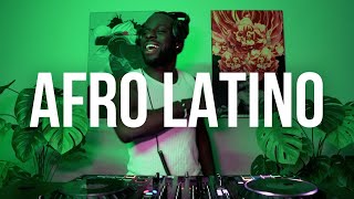 Afro Latino | Beele, Kapo, Danny Ocean, Bad Bunny | Afrobeats Latino by XOCO