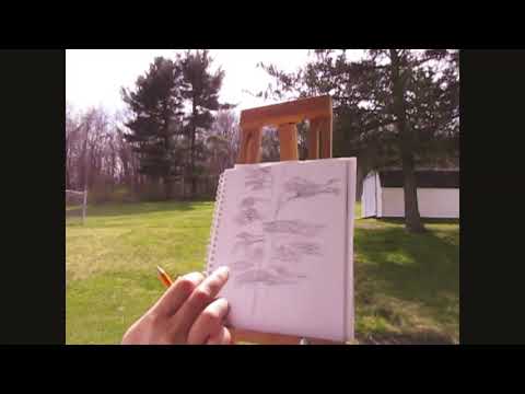 Tree Drawing Lesson