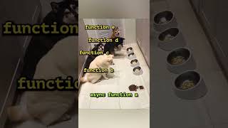 JavaScript async await perfectly explained