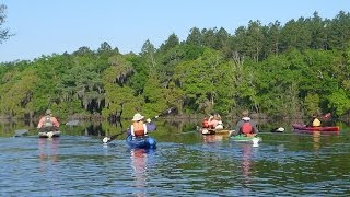 Hiking and Paddling the Red Hills: EcoAdventures North Florida