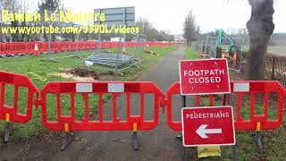 Lime Tree Devastation Along Wellingborough Walks on London Road in Wellingborough 24th February 2023