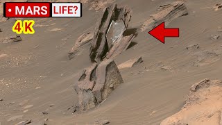 Mars' Perseverance Rover Sent Most Remarkable Footage of A River Delta! Search For Ancient Life! 4K