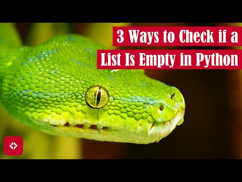 3 Ways to Check If a List Is Empty in Python