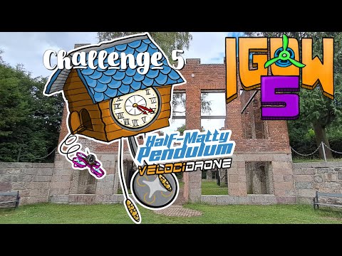 IGOW5 Challenge 5 - Velocidrone Half-Matty Pendulum