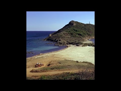 Pogo - Truly