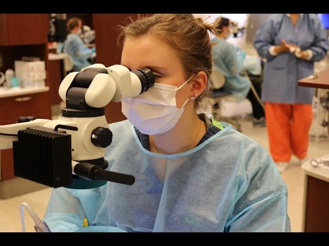 Endodontics Advanced Specialty Program at UIC College of Dentistry