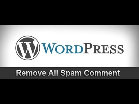 WordPress Tutorial #5: Remove All Spam Comments