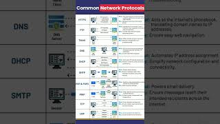 Network Protocol #cybersecurity #networking #computernetworking #youtubeshorts #shors #protocols