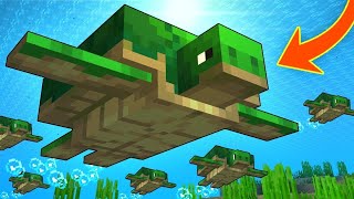 Turtlecraft EP16