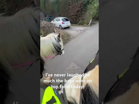 #horse #equestrian #hackfreefire #pony #horsegirlenergy