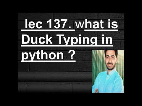 what is Duck Typing in python ?