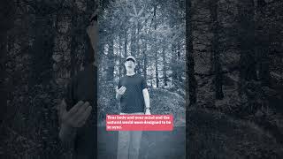 Is Your Diary Allergic to Trees?