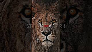 Sigma Rule🔥👿 || Strong Mindset🦁👑 || Motivation quotes #shorts #attitude #sigmarule