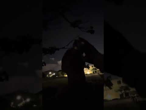 Drinking alone under the moon (Li Bai)