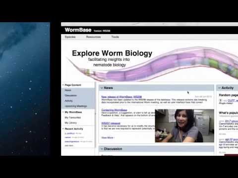 Intro to WormBase: FIlter you search by species