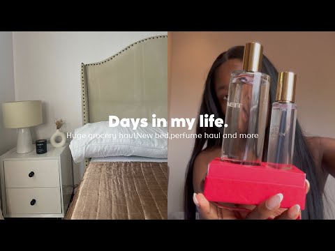 Daily vlog | Huge grocery haul,my bed frame finally came!, skincare haul,organization,perfume haul