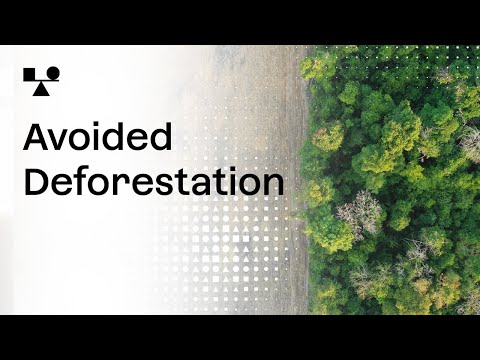 Avoided Deforestation | Sector Snapshot