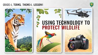 Explorer in Action:Using Technology to Protect Wildlife  | Grade 4: Term 2, Theme 4, Lesson 1