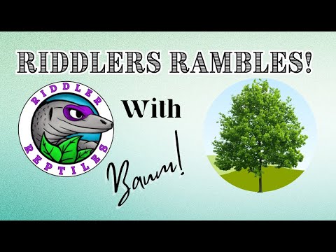 EP05 Fish, Plants and Nature, with Baum! (Treee)