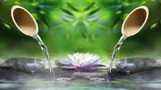 Relaxing Piano Music • Sleep Music, Water Sounds, Relaxing Music, Meditation Music