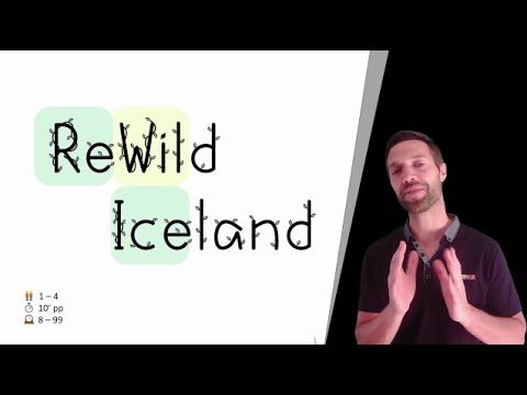 RWI playthrough 2 players competitive