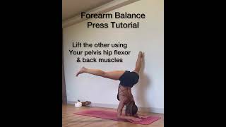 Forearm stand (pincha mayurasana) press tutorial