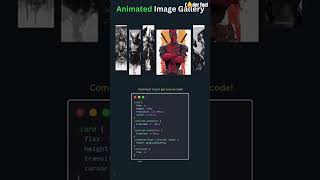 How to Create Animated Image Gallery using HTML, CSS & JavaScript