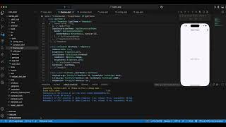 Flutter 2025 Pro Theme Setup | Light & Dark Mode | First Video