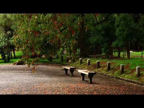 Smooth Jazz Fans chillout with AFTERNOON STROLL