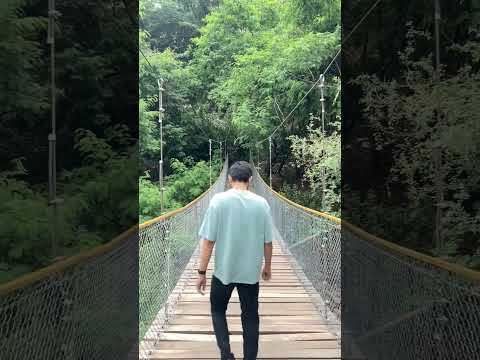 Udaipur | Venice of India | Monsoon season #explore #nature #ytshorts
