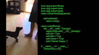 Python Dog